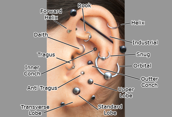 Piercings and pricing - Atomic Tattoo & Piercing